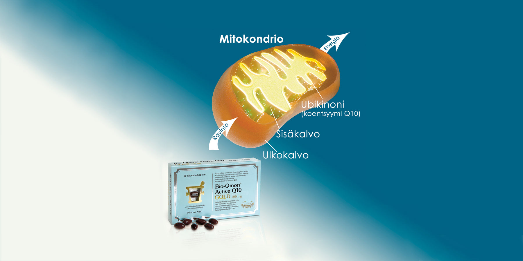 Lisää tehoa solujen voimalaitoksille